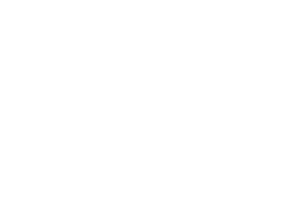 Zero Tenacity logo